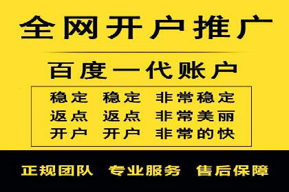 某某SEM团队成功案例：广告投放策略揭秘